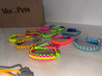 Collar personalizable Gatos