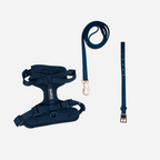 Kit Esencial:  Correa, Collar y Pechera