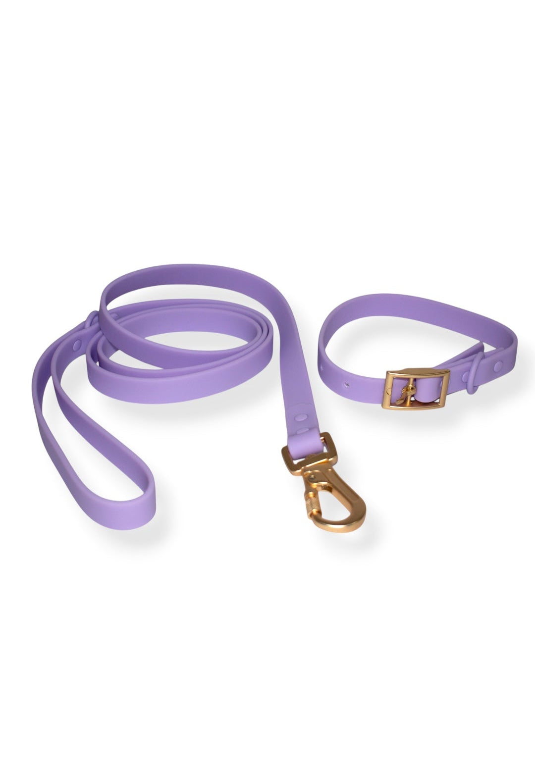 Kit dúo: Correa + Collar