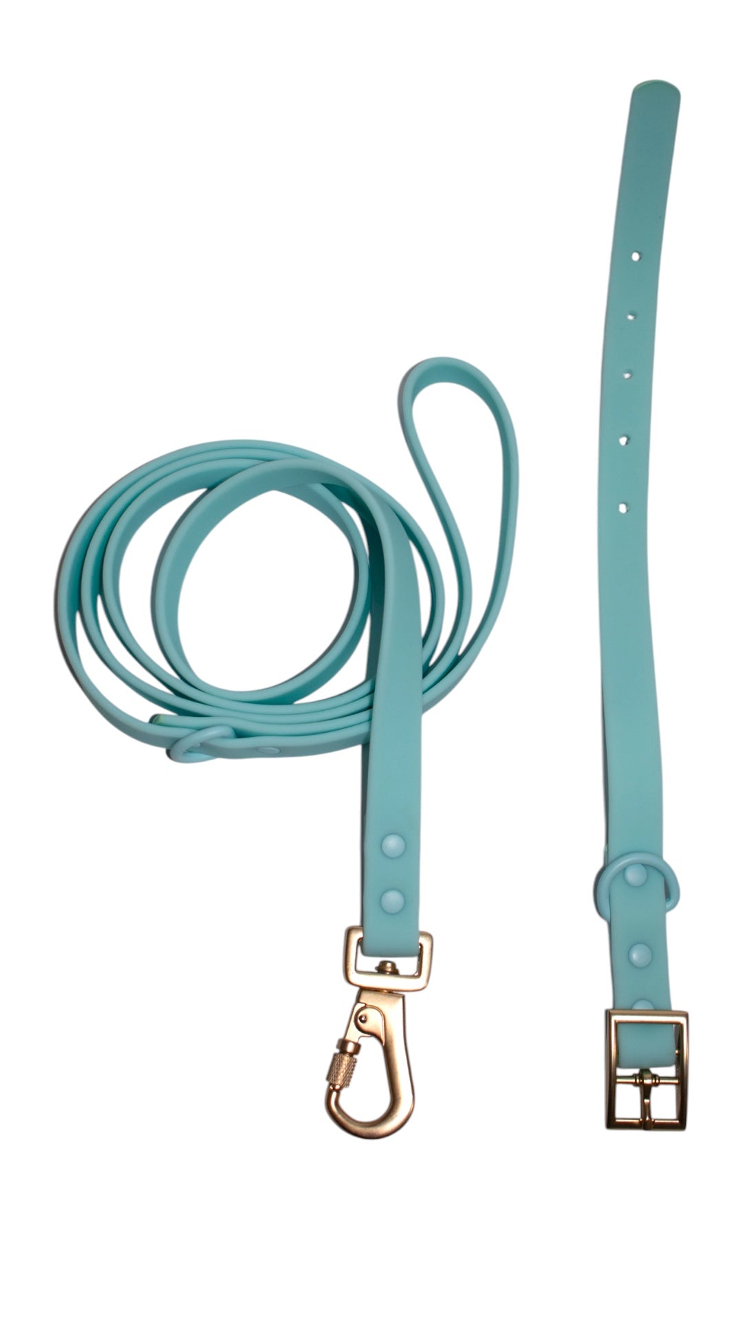 Kit dúo: Correa + Collar