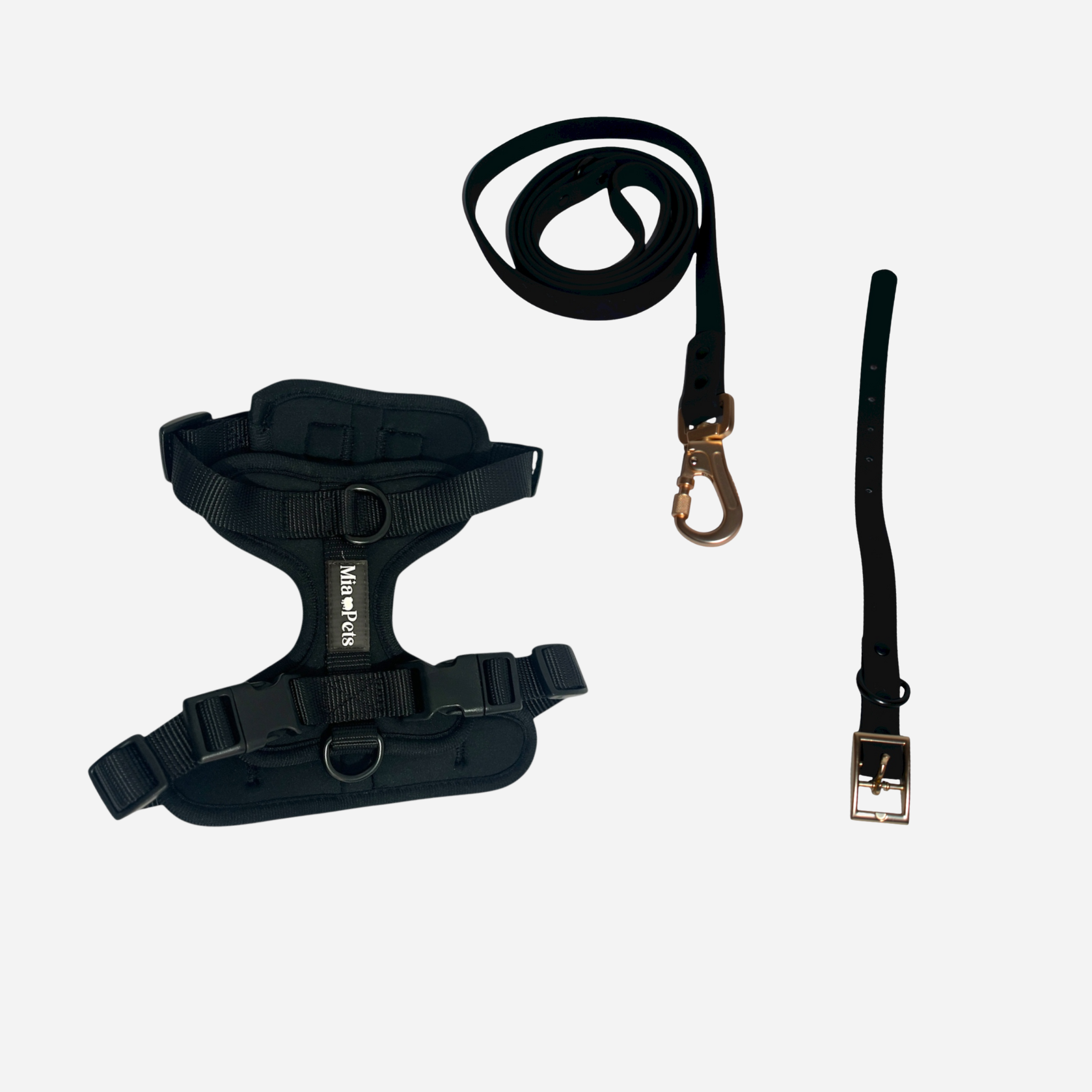 Kit Esencial:  Correa, Collar y Pechera