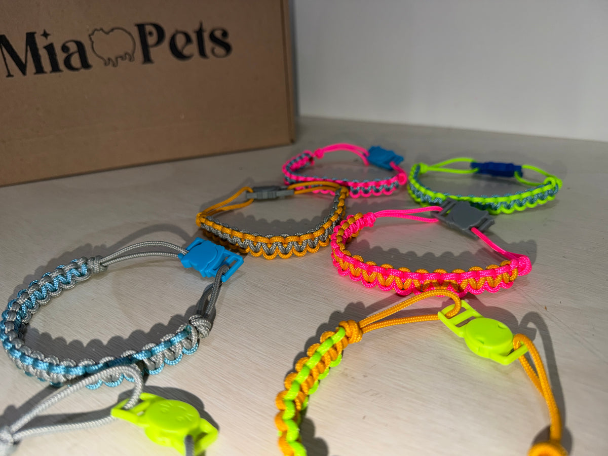 Collar personalizable Gatos