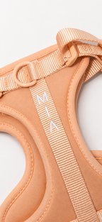 Personalización - Nombre en pechera tradicional