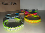 Collar personalizable Gatos