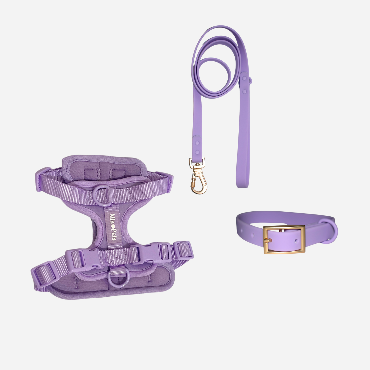 Kit Esencial:  Correa, Collar y Pechera